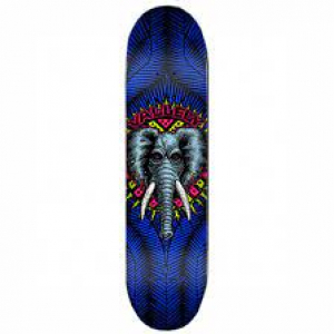 Powell peralta vallely elephant royal blue 8.25